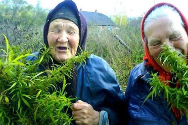 Зайти в кракен