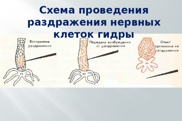 Kra26.cc