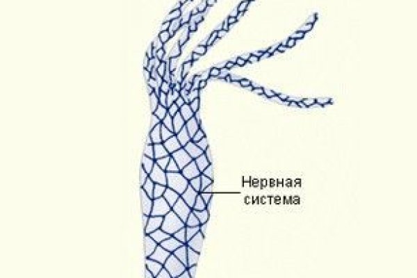 Кракен маркетплейс зеркало krk market com